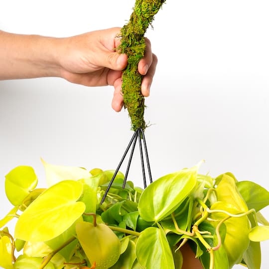 36" Bendable Moss Pole, 2ct. by Ashland®